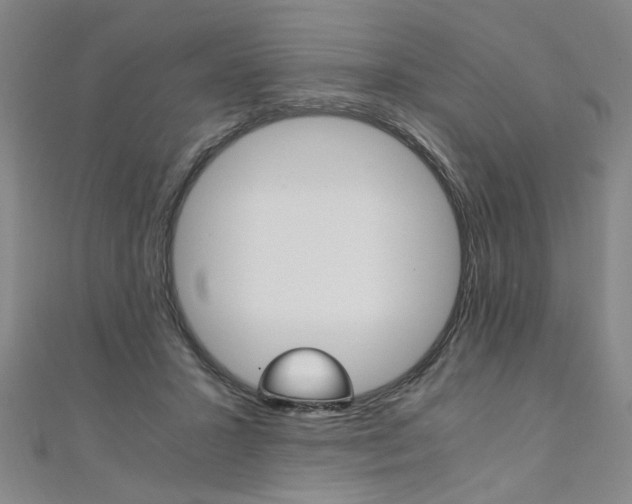 X0000110690407200906121100