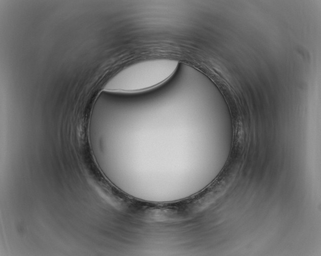 X0000110690408200906121100