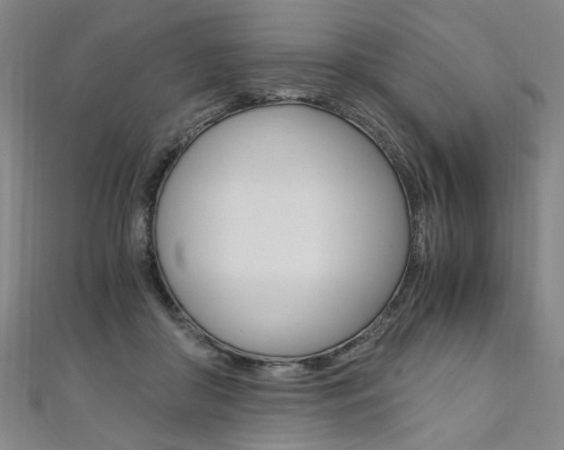 X0000110690410200906121100