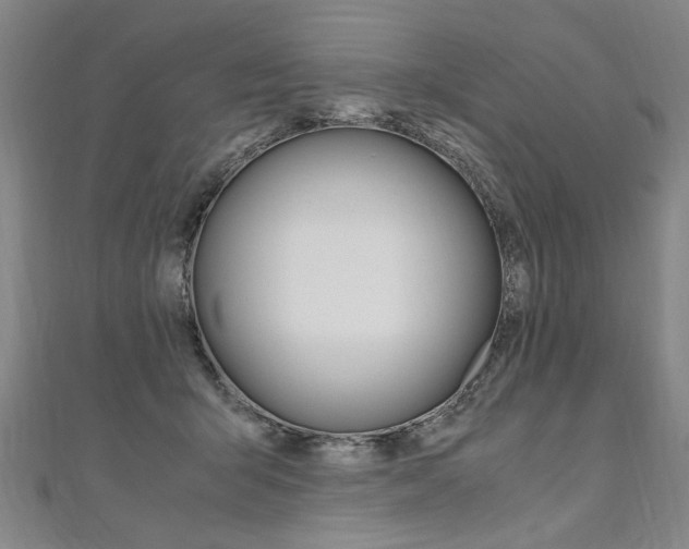 X0000110690415200906121100