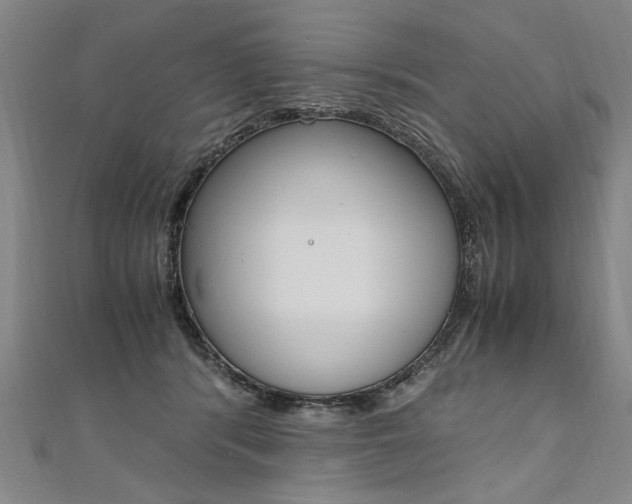 X0000110690416200906121100