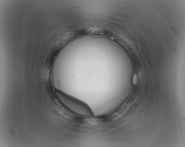 X0000110690417200906121100