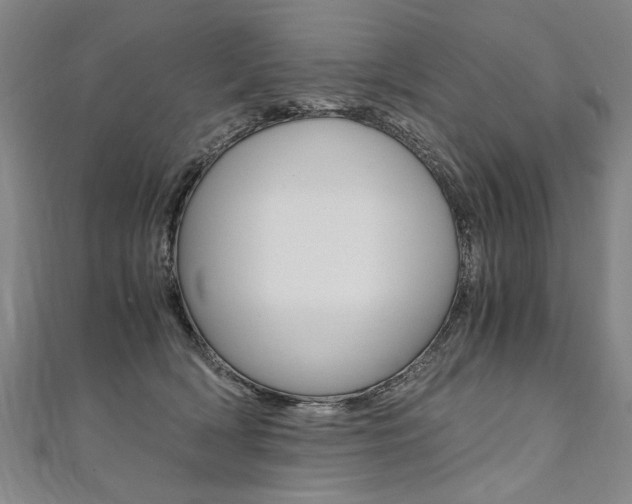 X0000110690418200906121100