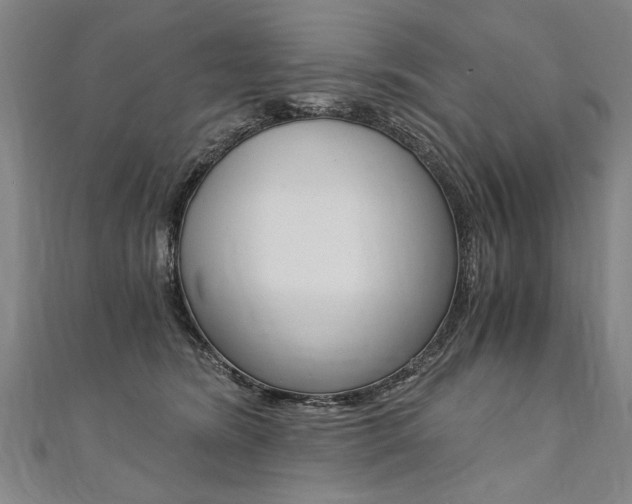 X0000110690420200906121100