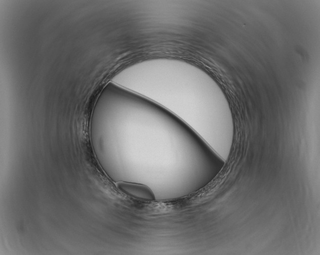 X0000110690421200906121100