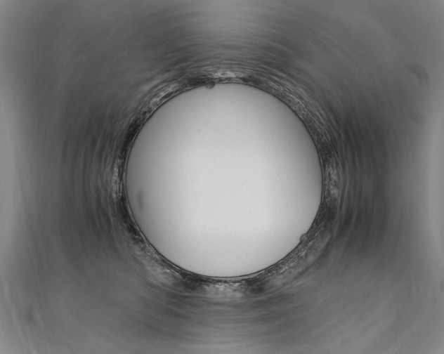 X0000110690422200906121100