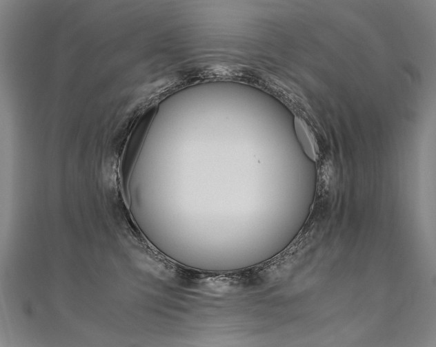 X0000110690423200906121100
