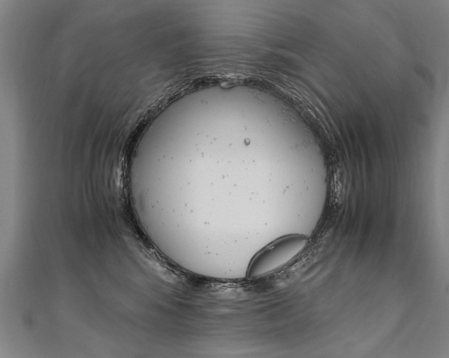 X0000110690424200906121100