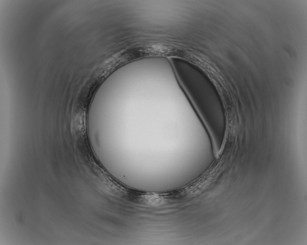 X0000110690425200906121100