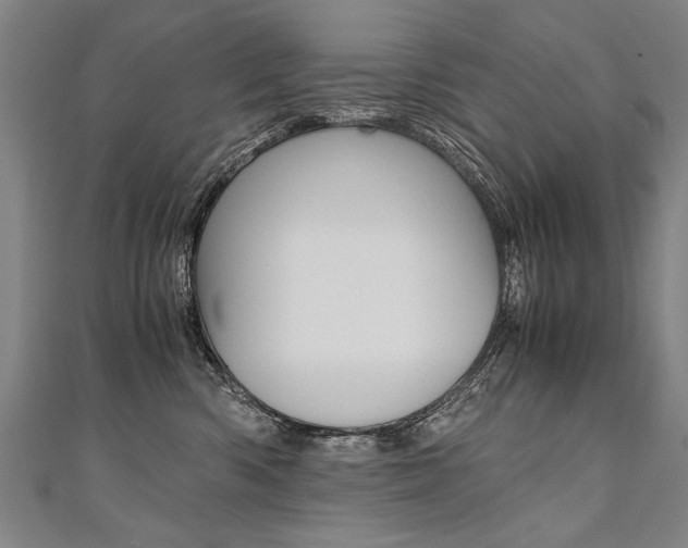 X0000110690426200906121100