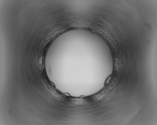 X0000110690428200906121100