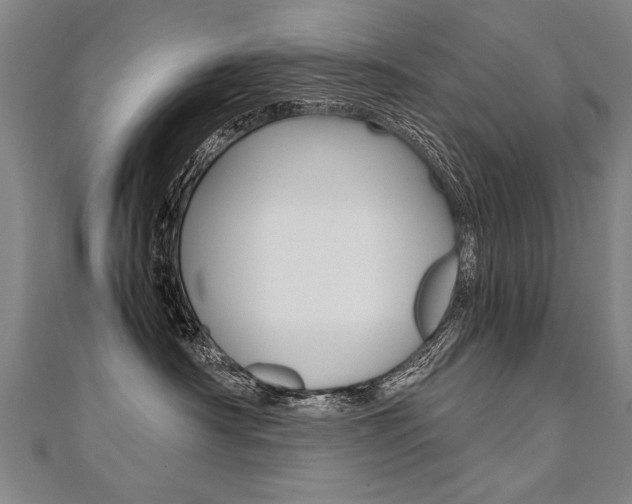 X0000110690430200906121100