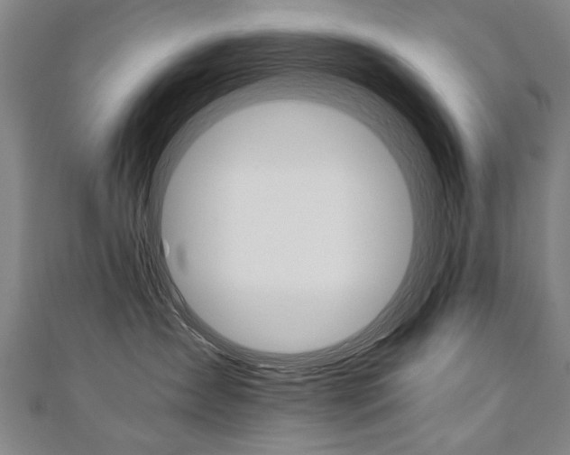 X0000110690431200906121100