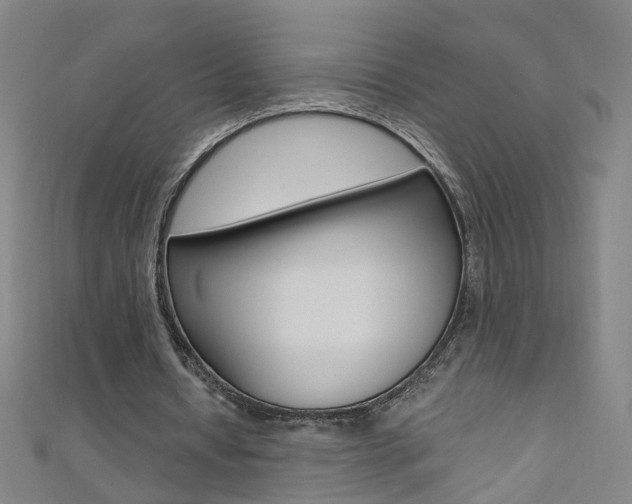 X0000110690434200906121059