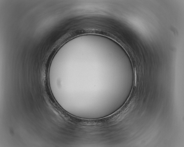 X0000110690435200906121059