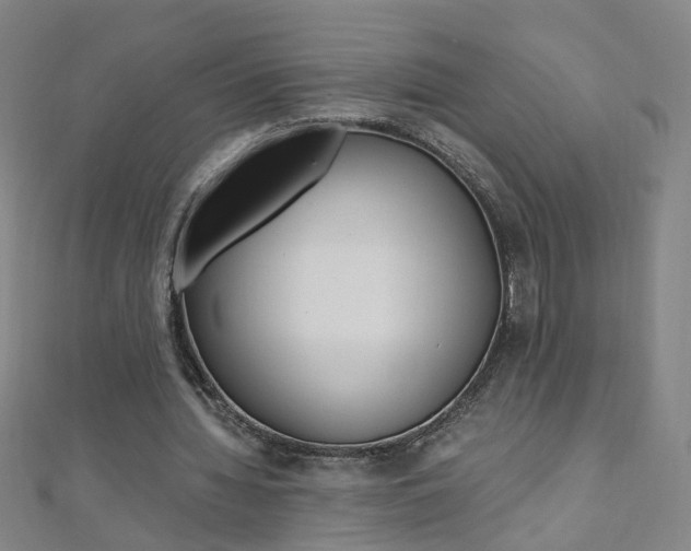 X0000110690436200906121059