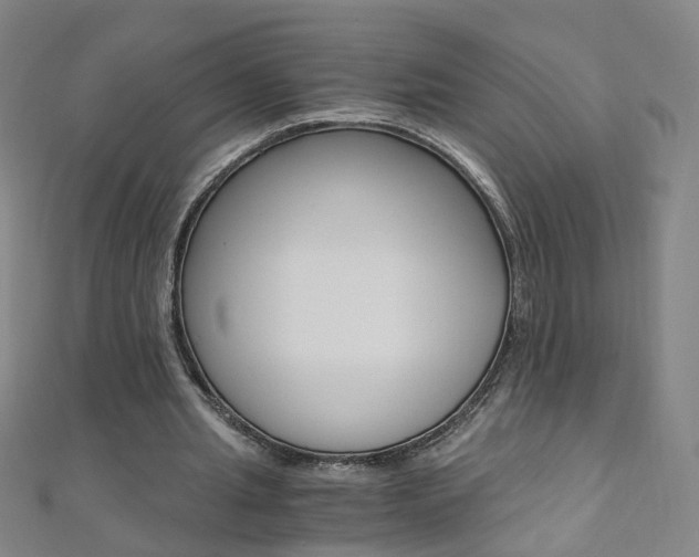 X0000110690437200906121059