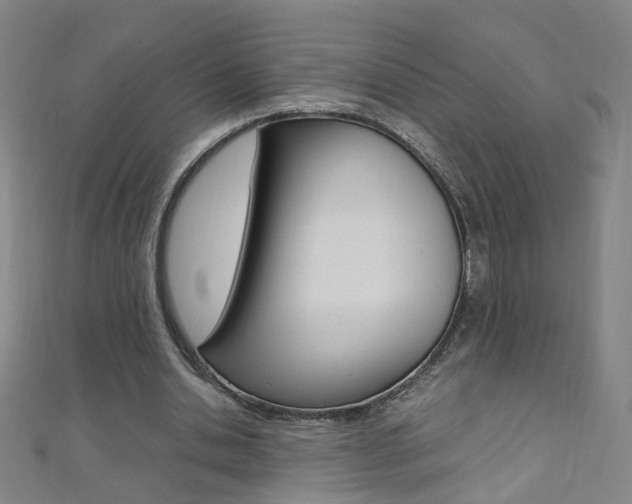 X0000110690438200906121059