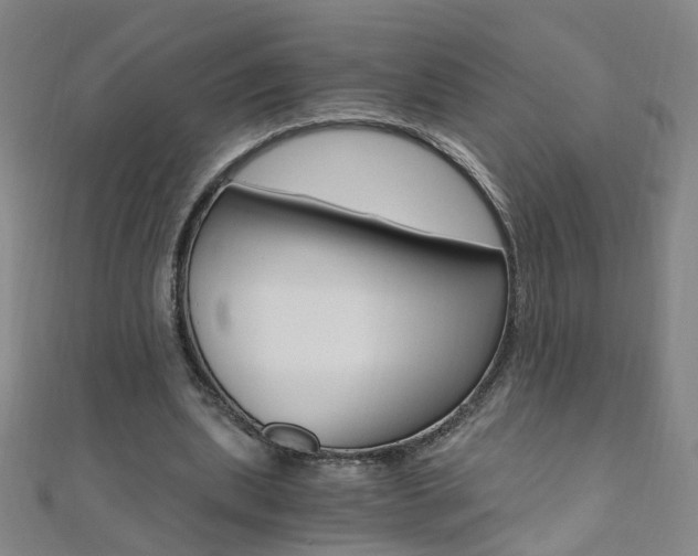 X0000110690439200906121059