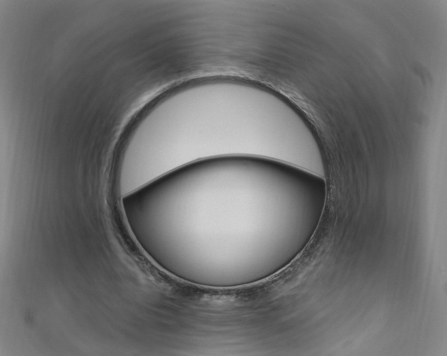 X0000110690440200906121059