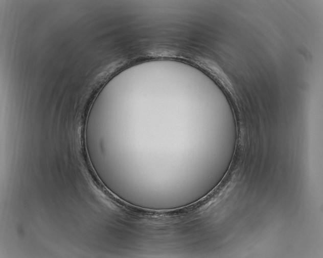 X0000110690441200906121059