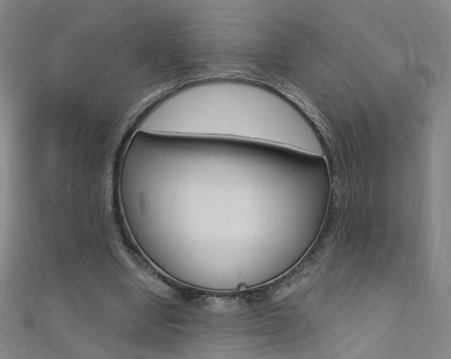 X0000110690442200906121059
