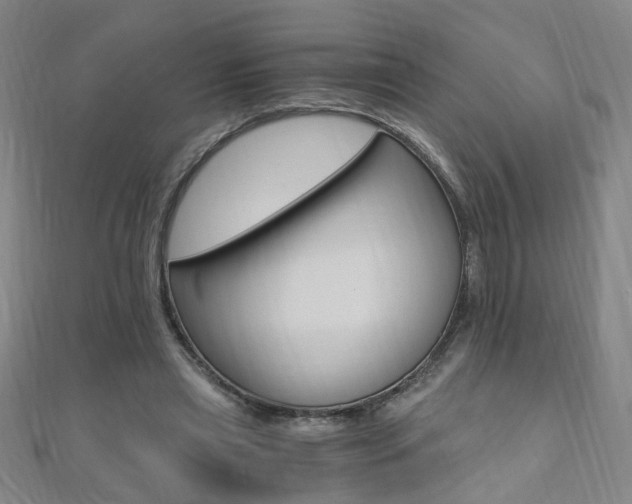 X0000110690445200906121059