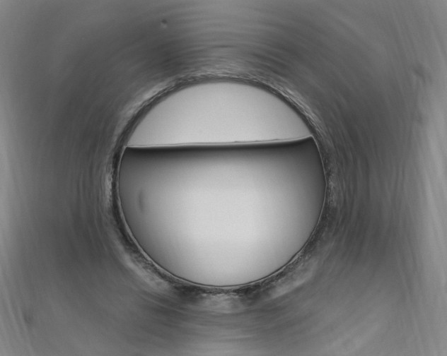 X0000110690446200906121059