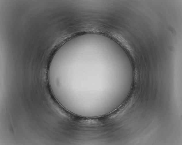 X0000110690449200906121059