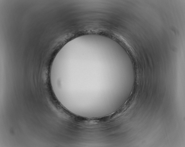 X0000110690451200906121059