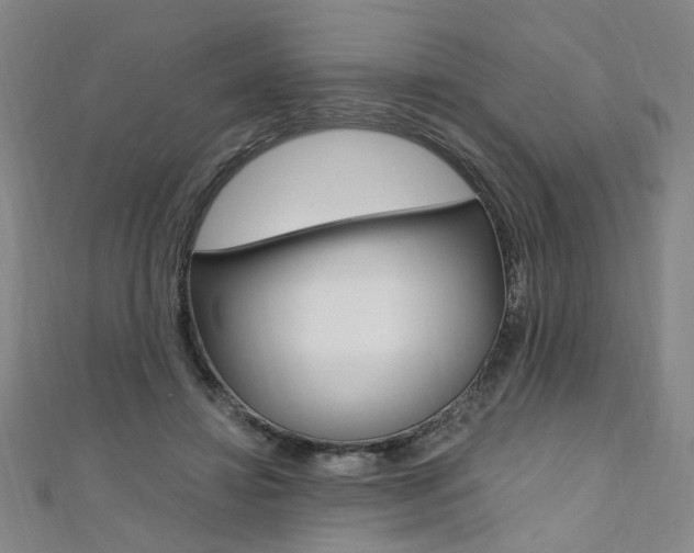 X0000110690452200906121059