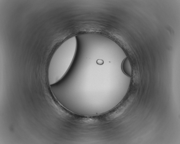 X0000110690453200906121059
