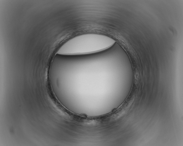 X0000110690454200906121059