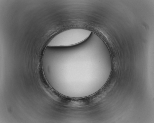 X0000110690455200906121059