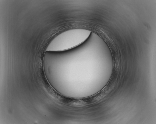 X0000110690459200906121059