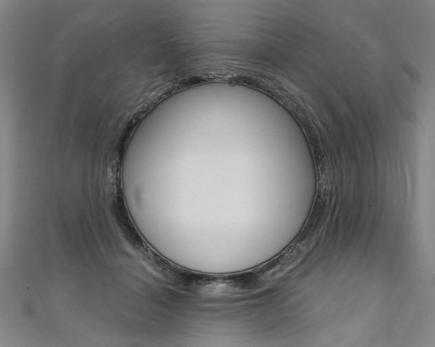 X0000110690460200906121059