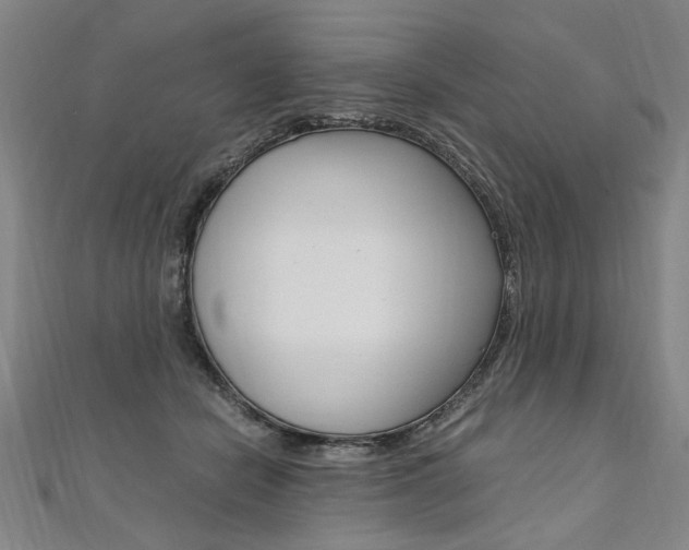 X0000110690462200906121059