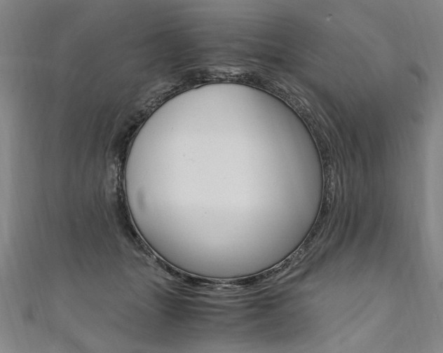 X0000110690463200906121059