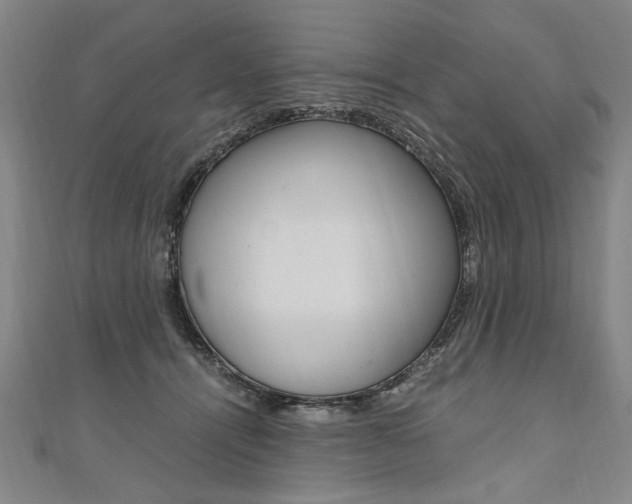X0000110690464200906121059