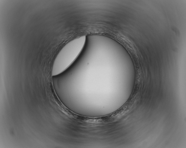 X0000110690465200906121059