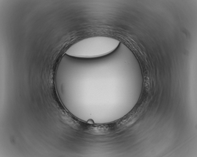 X0000110690466200906121059