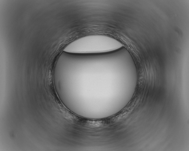 X0000110690469200906121059