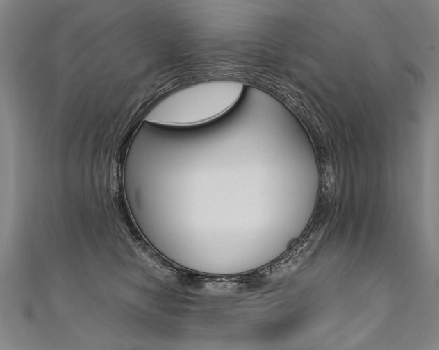 X0000110690470200906121059