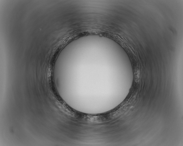X0000110690472200906121059