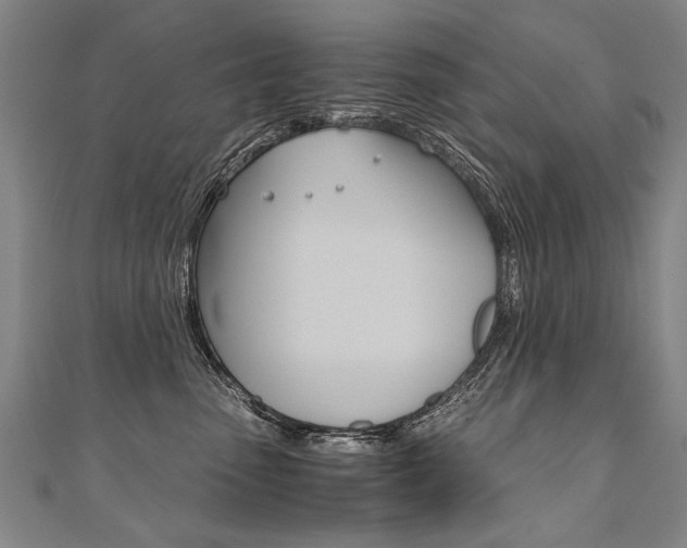 X0000110690475200906121100