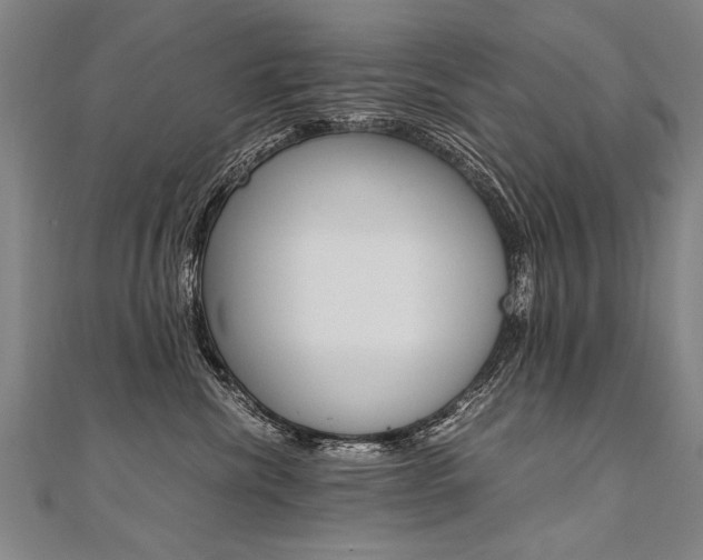 X0000110690476200906121100