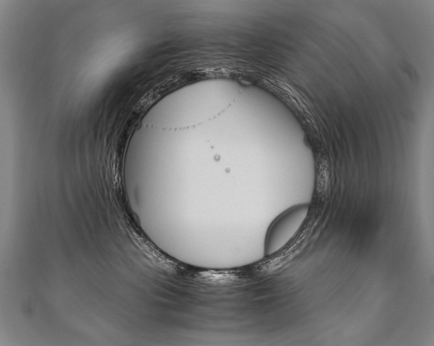 X0000110690477200906121100