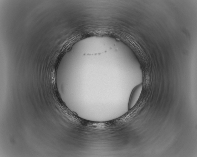 X0000110690478200906121100