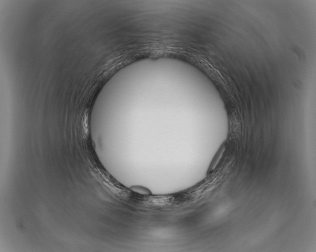 X0000110690479200906121100