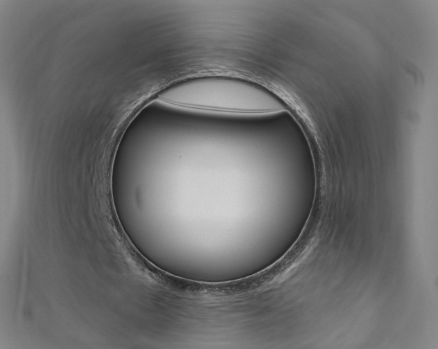 X0000110690481200906121059